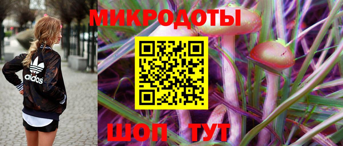 Рассказово  Галлюциногенные грибы Psilocybine cubensis  Вход с VPN 